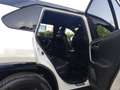 Toyota RAV 4 2.5l 220H Feel! 4WD Blanco - thumbnail 31