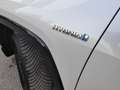 Toyota RAV 4 2.5l 220H Feel! 4WD Blanco - thumbnail 39