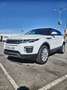Land Rover Range Rover Evoque 2.0TD4 SE 4WD 150 Blanco - thumbnail 5