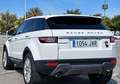 Land Rover Range Rover Evoque 2.0TD4 SE 4WD 150 Blanco - thumbnail 3