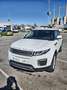 Land Rover Range Rover Evoque 2.0TD4 SE 4WD 150 Blanco - thumbnail 6