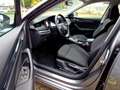 Skoda Octavia Lim. 2.0 TDI Ambition DSG LED Sitzhzg Klimaauto Gris - thumbnail 7