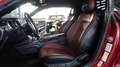 Ford Mustang 5.0  V8 GT 500 Shelby Look *Auto*Xenon* Rojo - thumbnail 11