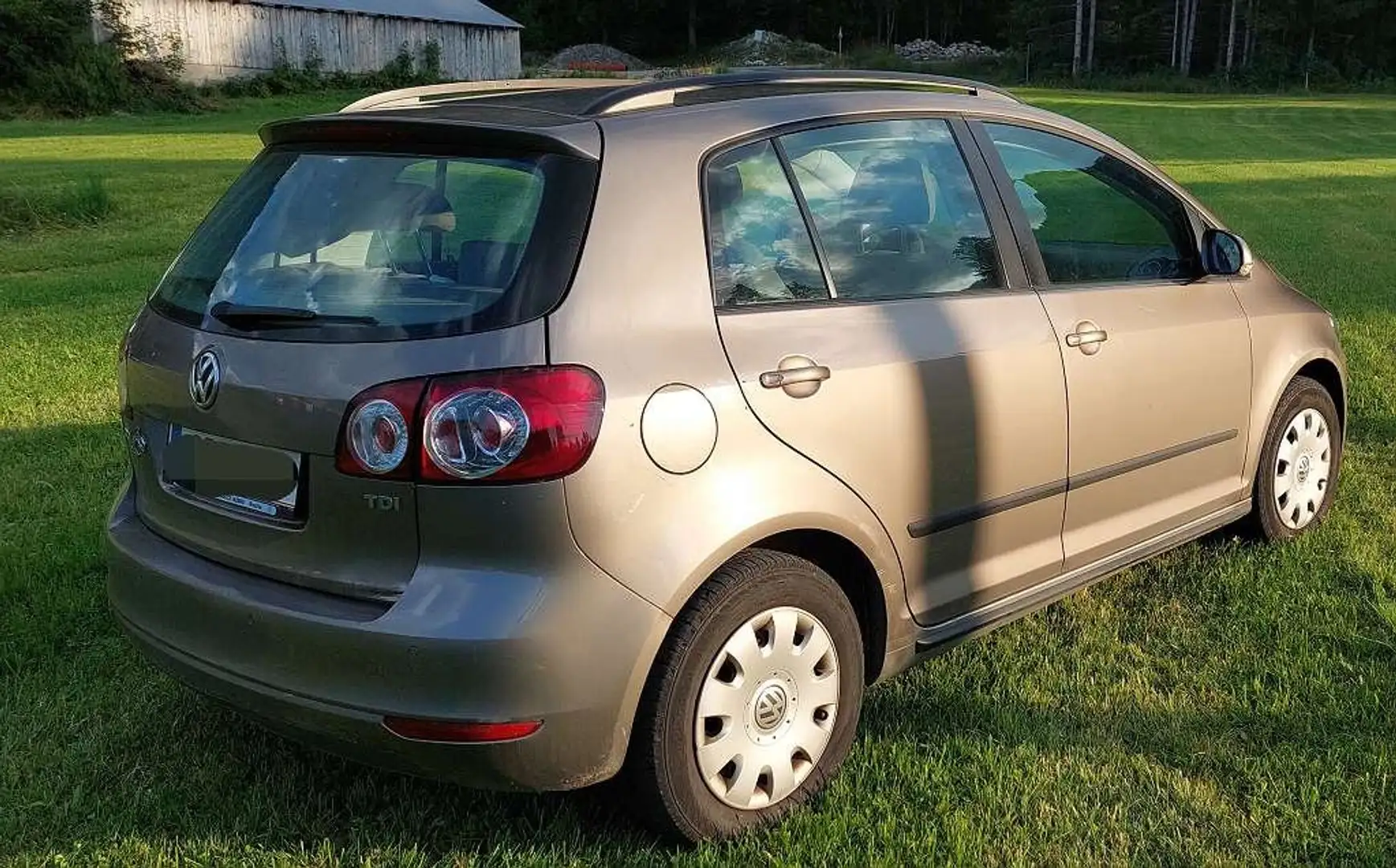 Volkswagen Golf Plus Golf Plus Comfortline 1,9 TDI DPF Comfortline Braun - 1