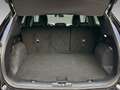 Ford Kuga Plug-In Hybrid Titanium X Kam+TotW+SHz+LrHz Noir - thumbnail 8