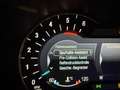 Ford S-Max S-MAX Titanium /1.HAND/ GETRIEBE Probleme Grau - thumbnail 27