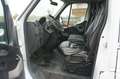 Renault Master DoKa Pritsche L3H1 3,5t Klima 7 Sitze/Tüv neu Blanco - thumbnail 11
