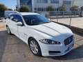 Jaguar XF Sportbrake 2.2 D 200 CV Luxury Blanco - thumbnail 1