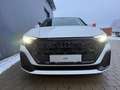 Audi Q8 50 TDI FL Mod. 25 #23" #Pano # 5J. Garantie % Weiß - thumbnail 9