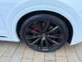 Audi Q8 50 TDI FL Mod. 25 #23" #Pano # 5J. Garantie % Weiß - thumbnail 14