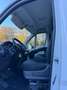 Fiat Ducato 35 MH2 2.3 mjt 130cv Blanco - thumbnail 12