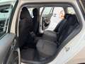 Skoda Octavia Combi Ambition 2,0 TDI DSG SITZHZG APP PDC TEMP Weiß - thumbnail 37