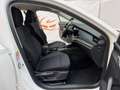 Skoda Octavia Combi Ambition 2,0 TDI DSG SITZHZG APP PDC TEMP Weiß - thumbnail 18