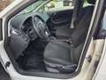 SEAT Ibiza FR Weiß - thumbnail 14