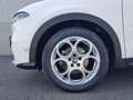 Alfa Romeo Tonale Tonale 1.6 Sprint 130cv tct6 Bianco - thumbnail 6