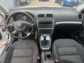 Skoda Octavia Combi Alldrive 4X4   AHK Weiß - thumbnail 12