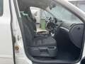 Skoda Octavia Combi Alldrive 4X4   AHK Weiß - thumbnail 15