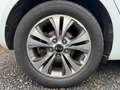 Kia Venga 1.6i World édition AUTO /PANO/ Navi/ CAM/GAR12m Blanc - thumbnail 26