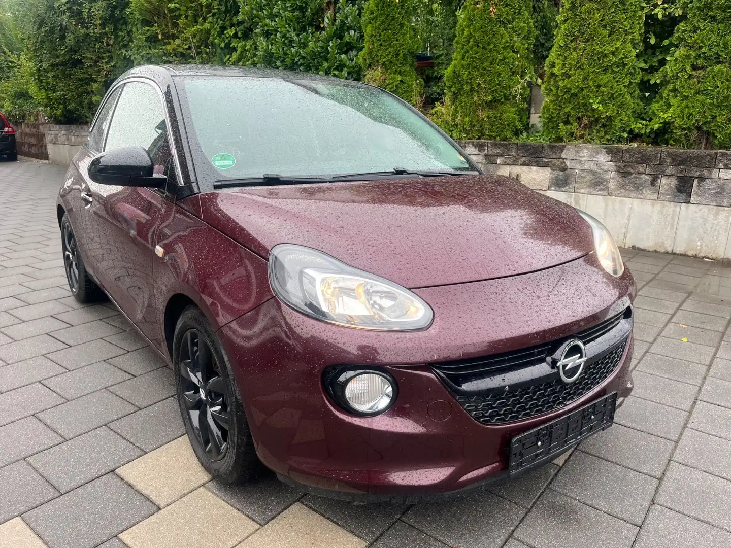 Opel Adam 120 Jahre ecoFlex Violett - 1