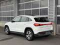 Mercedes-Benz EQA 300 EQA 300 4M Progressive Adv Pano-Dach LED Kamera Weiß - thumbnail 4