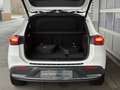 Mercedes-Benz EQA 300 EQA 300 4M Progressive Adv Pano-Dach LED Kamera Weiß - thumbnail 9