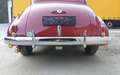 Buick Special Series 46 Business Coupe Rot - thumbnail 8