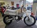 Fantic Caballero 500 Rally      Scrambler   NEU  Garantie Beige - thumbnail 3