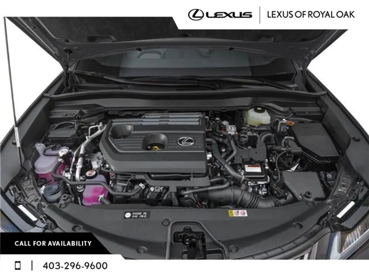 Lexus UX 300h снимка Lexus UX 300h
