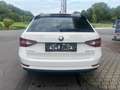 Skoda Superb Kombi 2,0 TDI Ambition ACC-Navi-Carplay Blanc - thumbnail 5