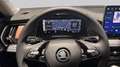 Skoda Kodiaq 1.5 TSI MHEV Business Edition Blauw - thumbnail 22