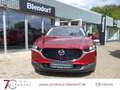 Mazda CX-30 Homura 122 Automatik Kamera|LED|Navi|Allwetter Rot - thumbnail 3