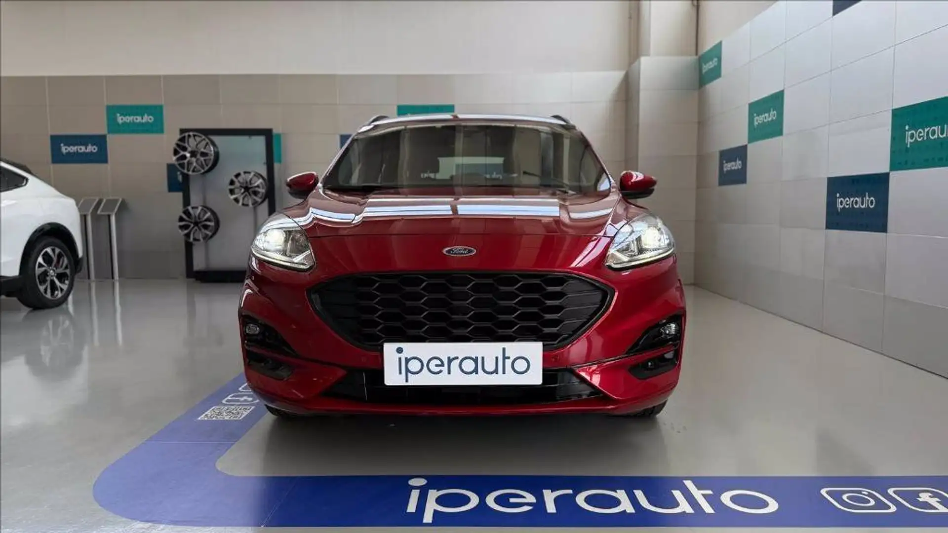 Ford Kuga 1.5 ecoblue ST-Line 2wd 120cv Rosso - 2