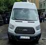 Ford Transit Bus Wit - thumbnail 5
