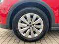 SEAT Arona 1.0 TSI Reference LED GRA Klima FULL LINK Rosso - thumbnail 12