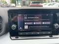 SEAT Arona 1.0 TSI Reference LED GRA Klima FULL LINK Rosso - thumbnail 14