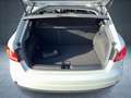 Audi A1 Advanced 25 TFSI S tr LED/ASI/sound Silber - thumbnail 13