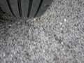 Volkswagen Touran 2.0TDI CR BMT Advance DSG7 110kW Azul - thumbnail 36