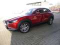 Mazda CX-30 2.0 SKYACTIV-G M-Hybrid Selection AKTION WENIG KM Rouge - thumbnail 5