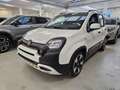 Fiat Panda 1.0 hybrid 70cv Pandina Cross ADAS Wit - thumbnail 3