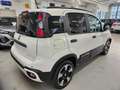 Fiat Panda 1.0 hybrid 70cv Pandina Cross ADAS Wit - thumbnail 5