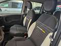 Fiat Panda 1.0 hybrid 70cv Pandina Cross ADAS Wit - thumbnail 7