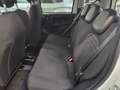 Fiat Panda 1.0 hybrid 70cv Pandina Cross ADAS Wit - thumbnail 8