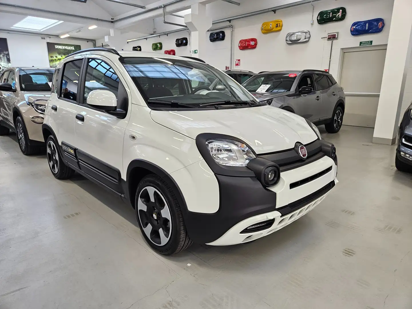 Fiat Panda 1.0 hybrid 70cv Pandina Cross ADAS Wit - 1