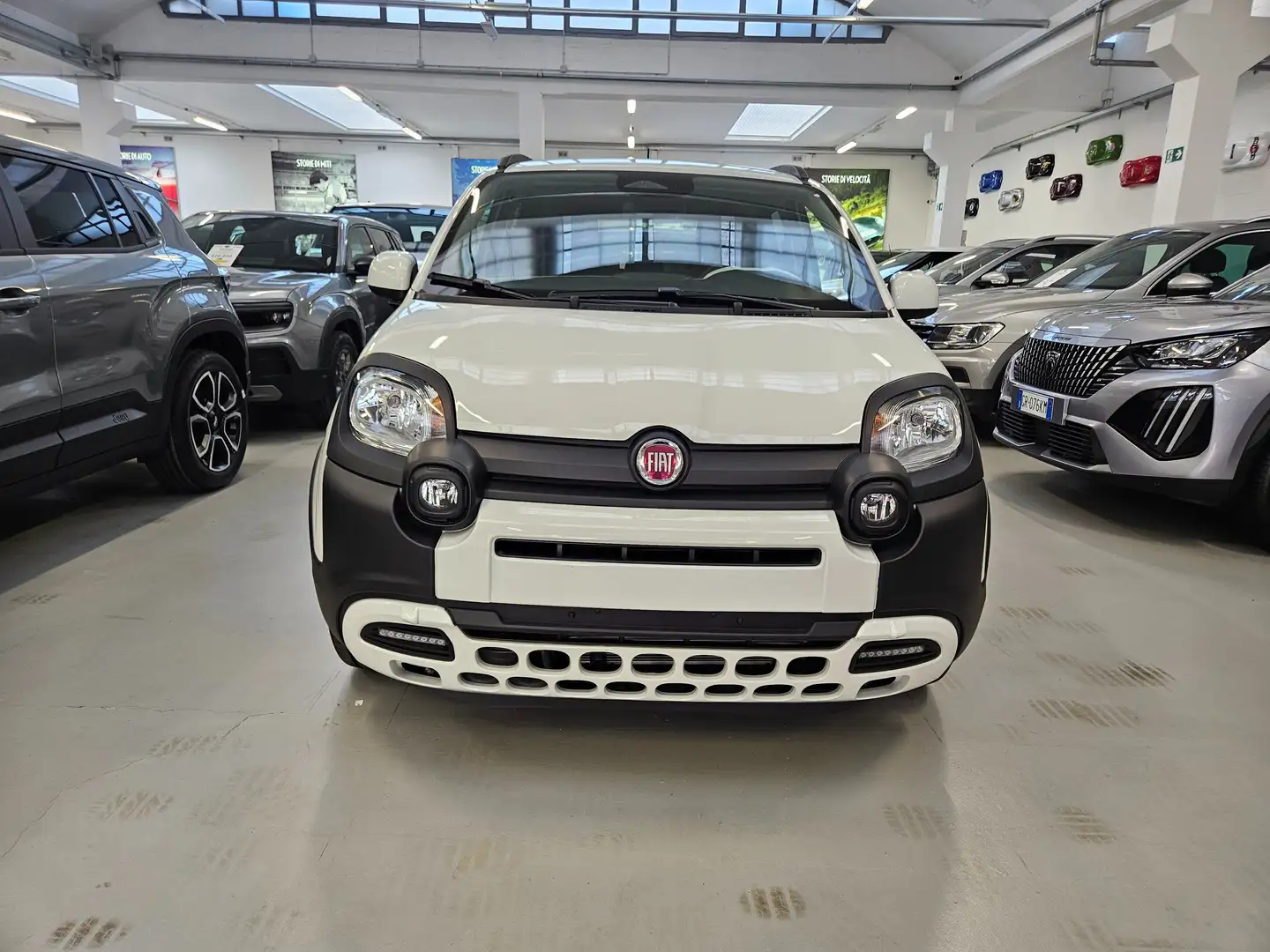 Fiat Panda 1.0 hybrid 70cv Pandina Cross ADAS Wit - 2