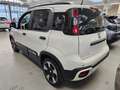 Fiat Panda 1.0 hybrid 70cv Pandina Cross ADAS Wit - thumbnail 4