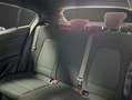 Ford Focus 1.0 Ecoboost MHEV 92kW ST-Line Gris - thumbnail 11