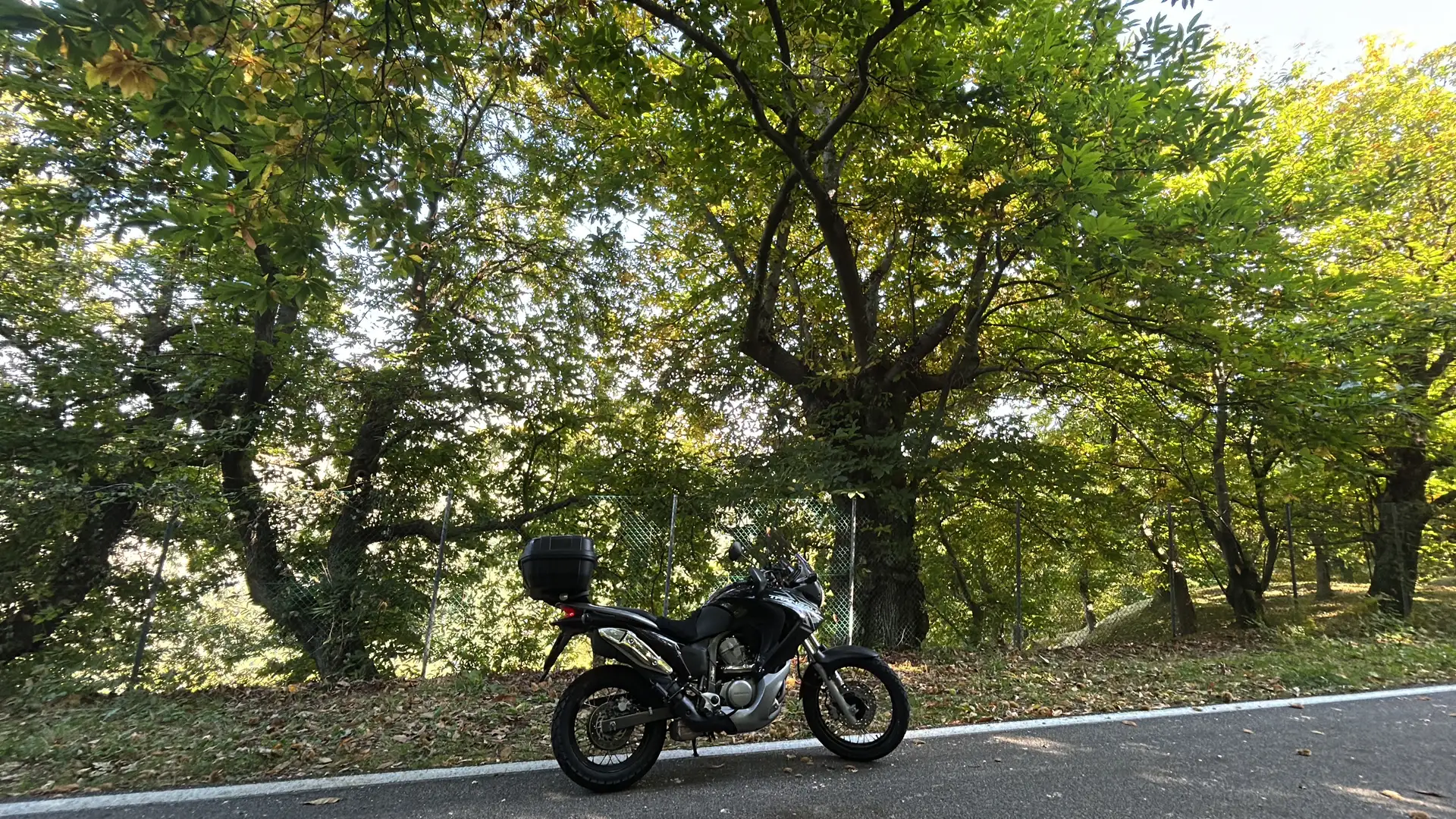 Honda XL 700 Bauletto - 2