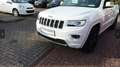 Jeep Grand Cherokee 3.0l Overland 3,5 T AHK Last*Vollaussta*Leder*Navi Weiß - thumbnail 3