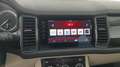 Skoda Kodiaq 4x4 Style TDI DSG Blau - thumbnail 8