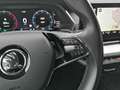 Skoda Octavia 2.0 TDI Virtual Cockpit NAVI ACC Lane Assistent Grau - thumbnail 21